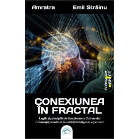Conexiunea în fractal. Legile și principiile de funcționare a Universului